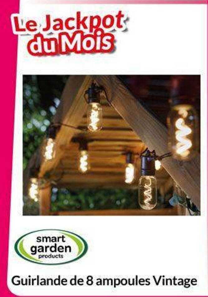 Guirlande de 8 ampoules Vintage