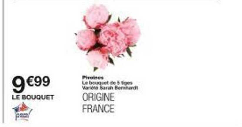 Le bouquet de 5 tiges Variété Sarah Bernhardt