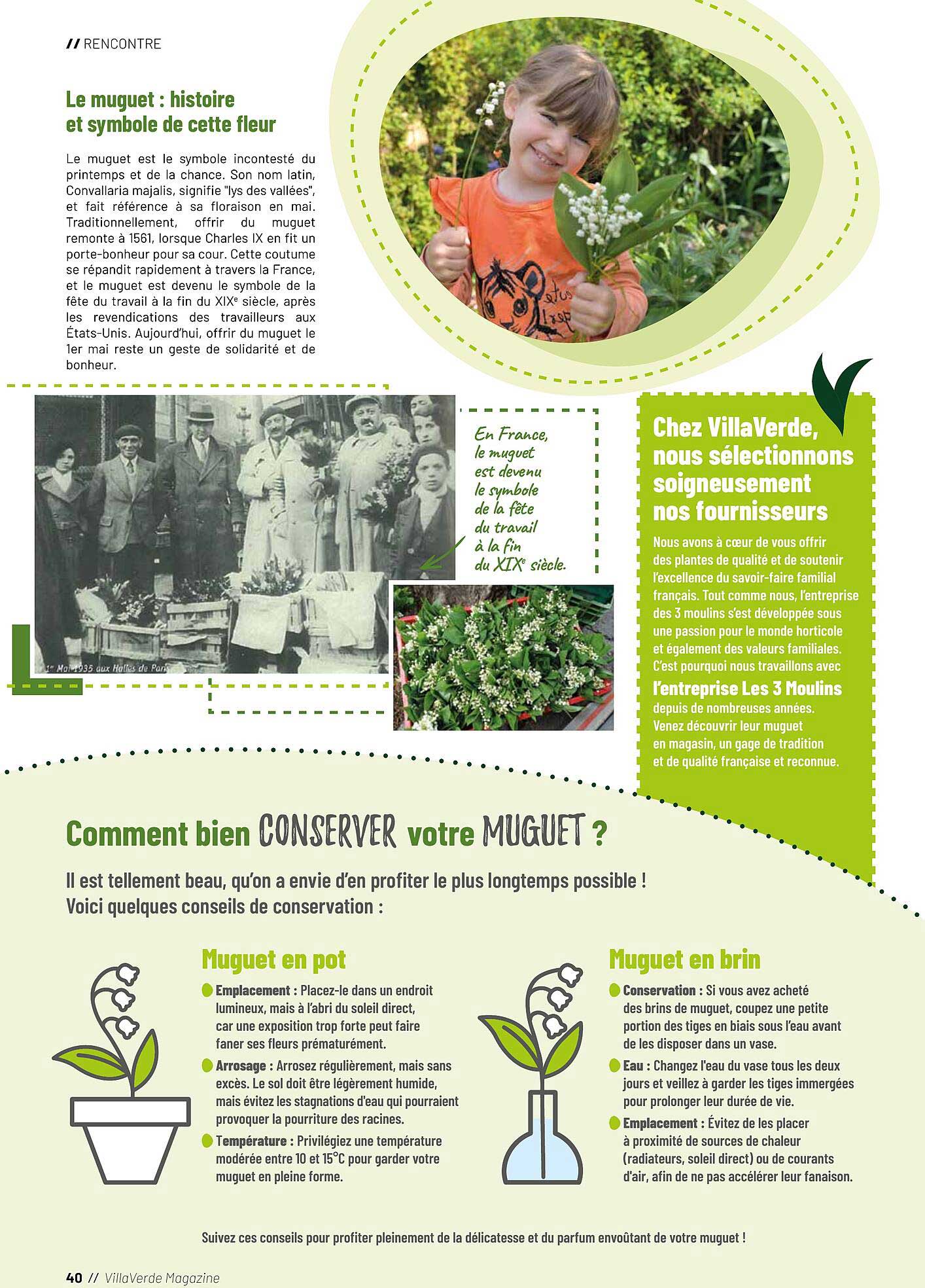 Le muguet : histoire et symbole de cette fleur
