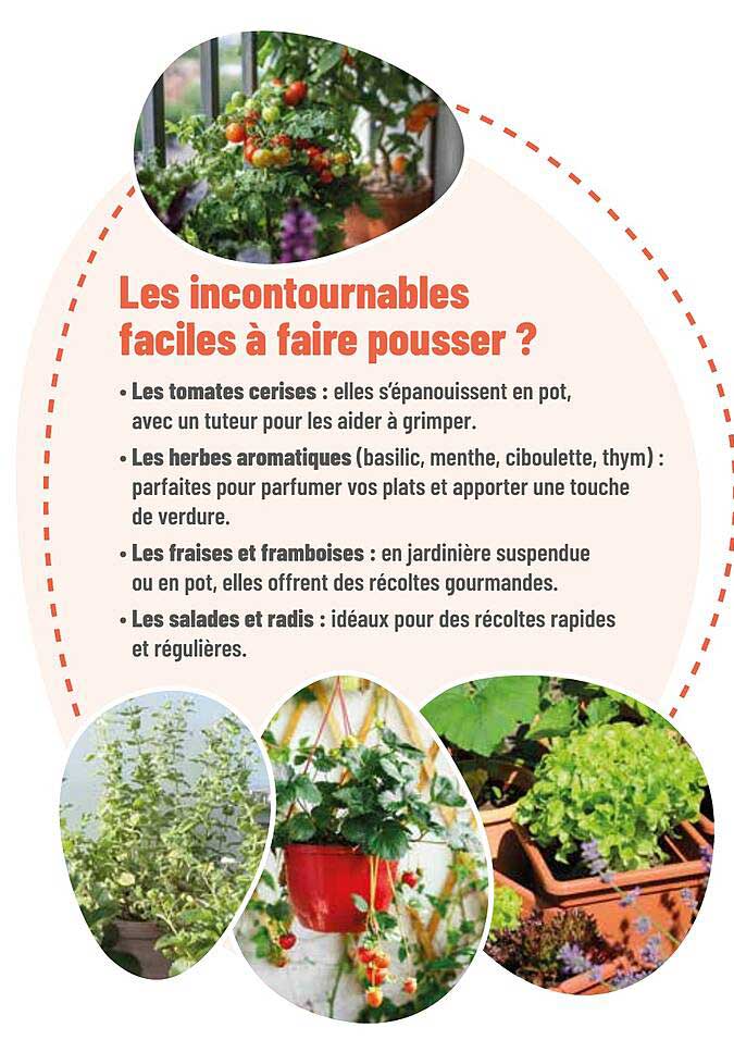Les incontournables faciles à faire pousser ?