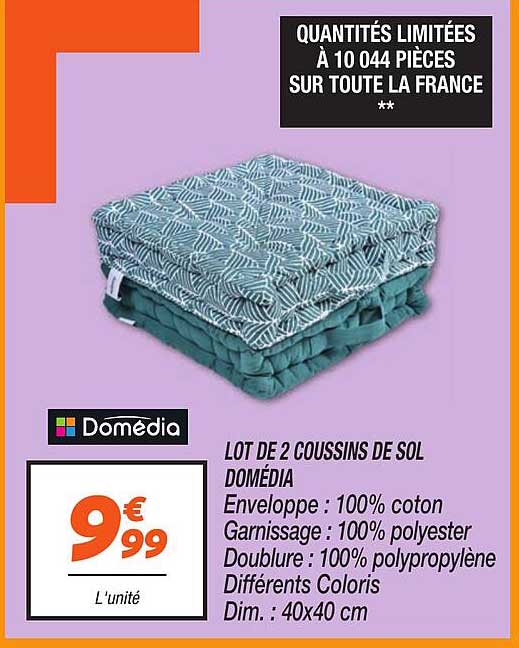 LOT DE 2 COUSSINS DE SOL DOMÉDIA