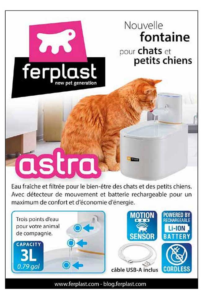 Nouvelle fontaine pour chats et petits chiens