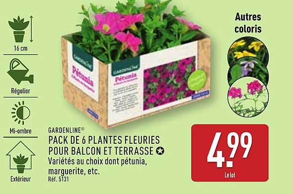PACK DE 6 PLANTES FLEURIES POUR BALCON ET TERRASSE
