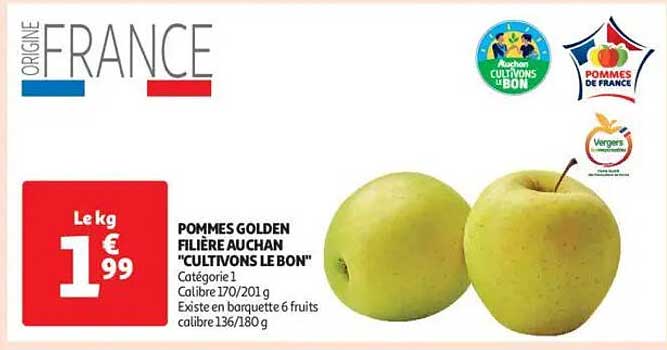 POMMES GOLDEN FILIÈRE AUCHAN "CULTIVONS LE BON"