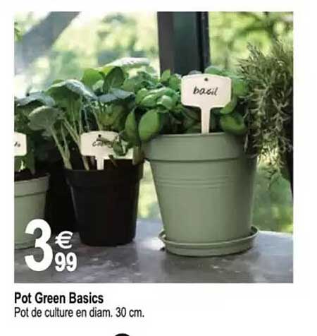 Pot Green Basics