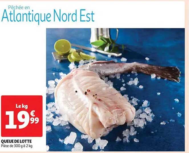 QUEUE DE LOTTE