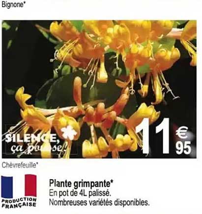 Silence, ça pousse !