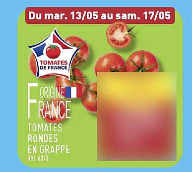 Tomates Rondes en Grappe
