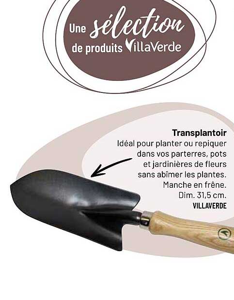 Transplantoir