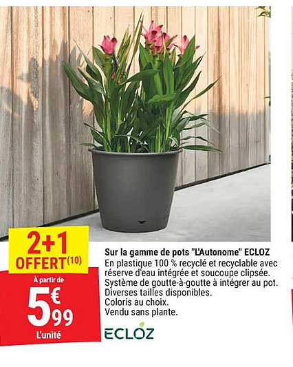 2+1 OFFERT(10)