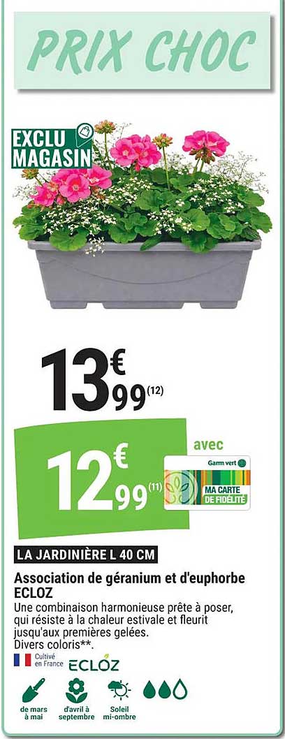 LA JARDINIÈRE L 40 CM Association de géranium et d'euphorbe ECLOZ