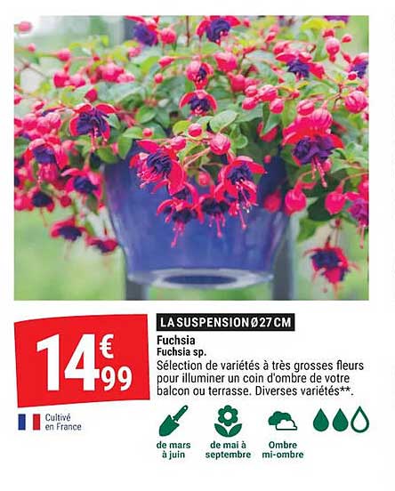 LA SUSPENSION Ø27 CM