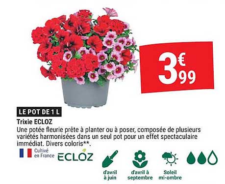 LE POT DE 1 L Trixie ECLOZ