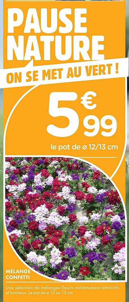 PAUSE NATURE ON SE MET AU VERT !