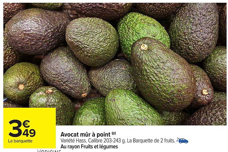 Avocat mûr à point
