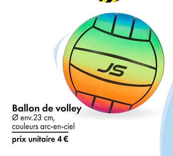 Ballon de volley