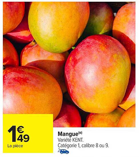 Mangue(o) Varieté KENT