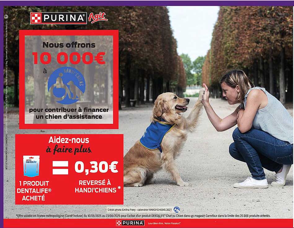 Nous offrons 10 000€ à HANDI'CHIENS pour contribuer à financer un chien d'assistance