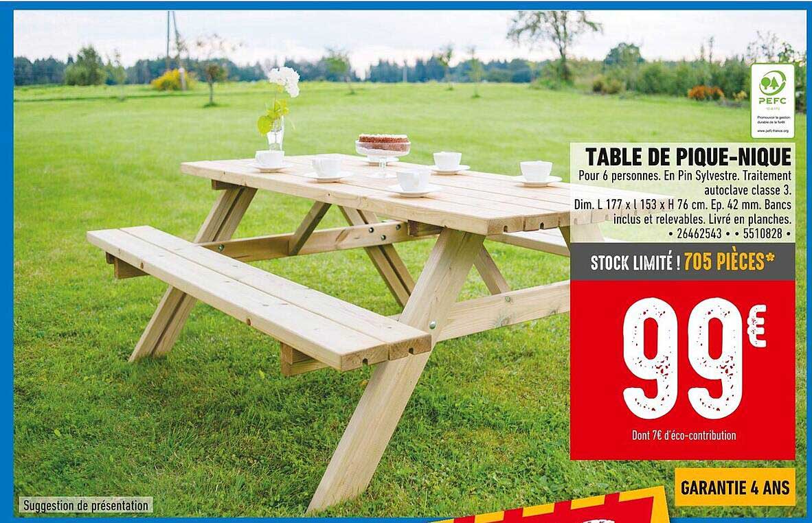 TABLE DE PIQUE-NIQUE
