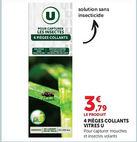 4 PIÈGES COLLANTS VITRES U