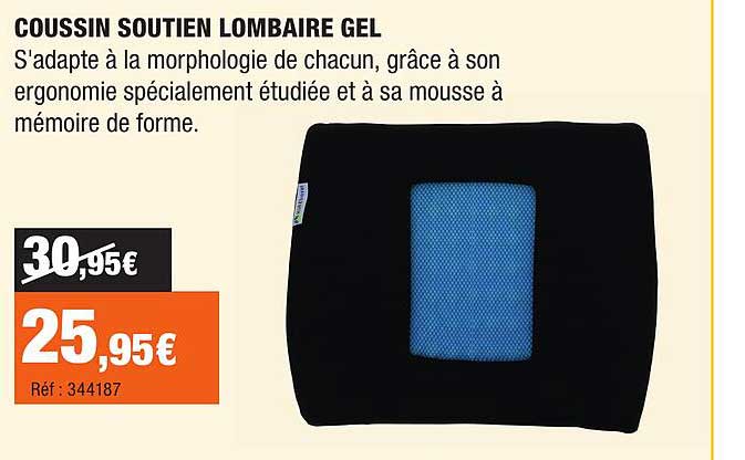 COUSSIN SOUTIEN LOMBAIRE GEL