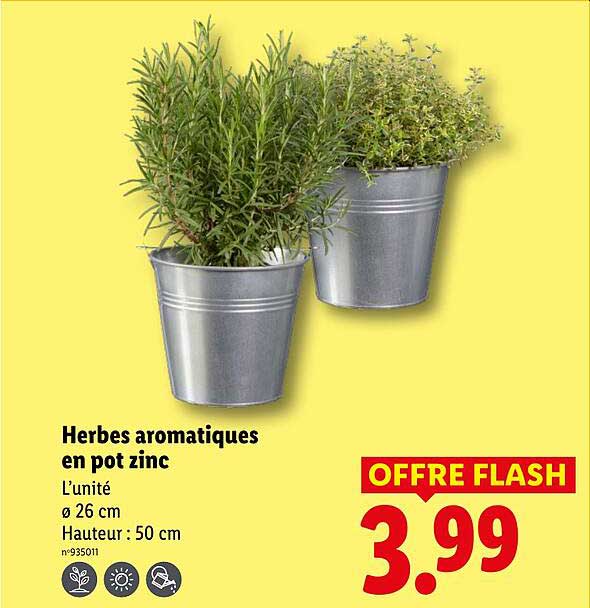 Herbes aromatiques en pot zinc