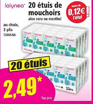 20 étuis de mouchoirs