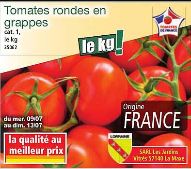 Tomates rondes en grappes