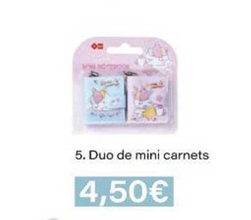 Duo de mini carnets