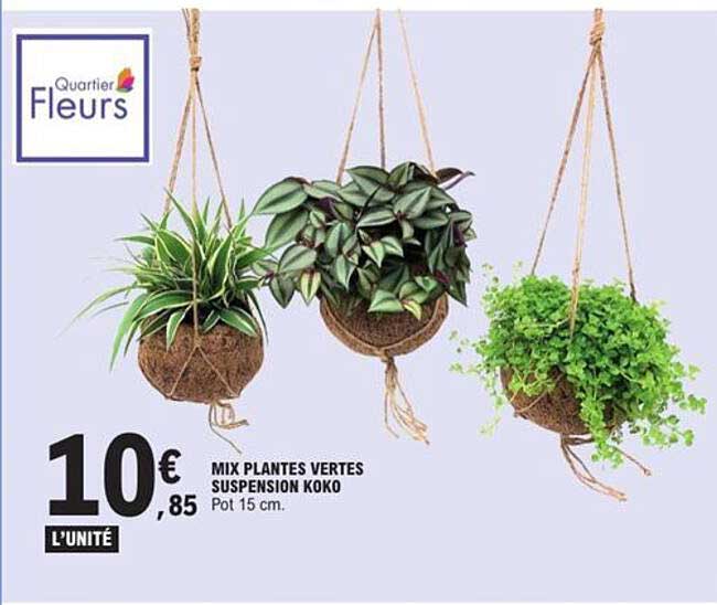 MIX PLANTES VERTES SUSPENSION KOKO
