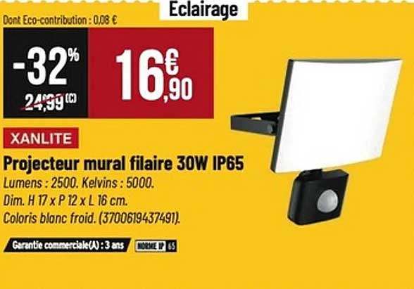 Projecteur mural filaire 30W IP65