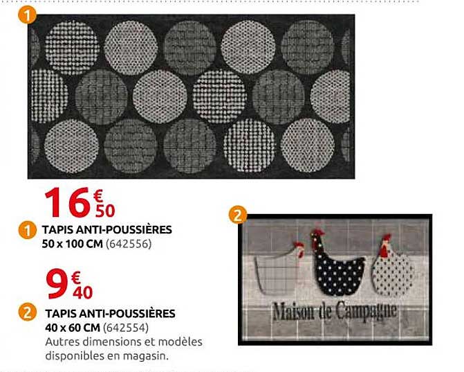 TAPIS ANTI-POUSSIÈRES 50 X 100 CM