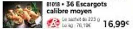 36 Escargots calibre moyen
