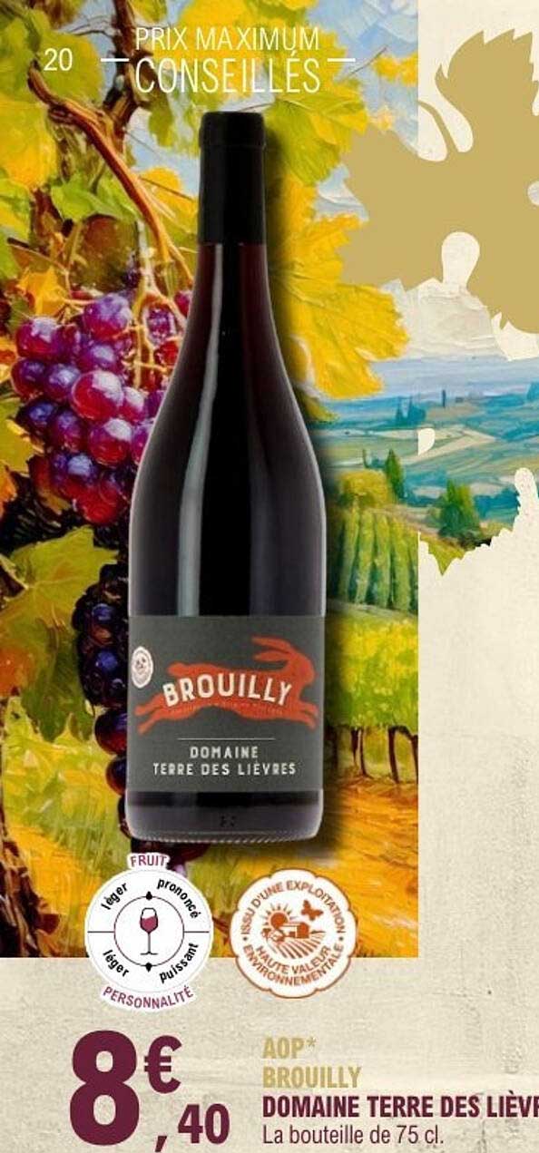 AOP* BROUILLY DOMAINE TERRE DES LIÈVRES