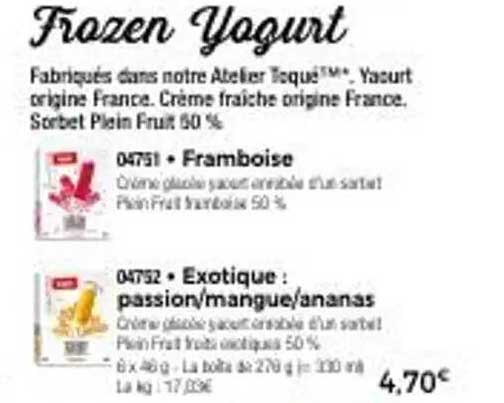 Frozen Yogurt