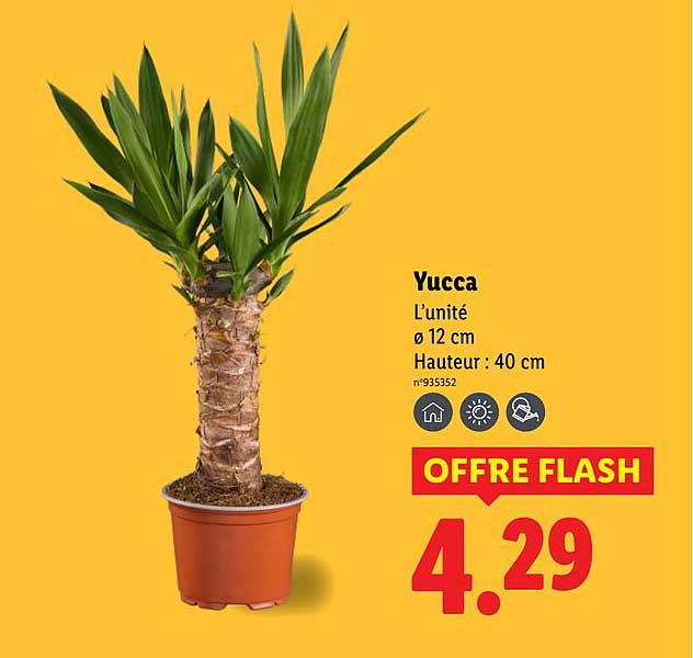 OFFRE FLASH