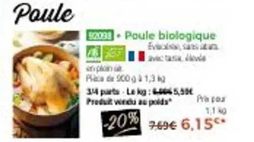 Poule biologique