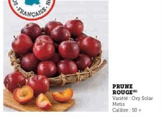 PRUNE ROUGE