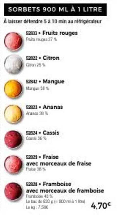 Sorbet 900 ml à 1 litre