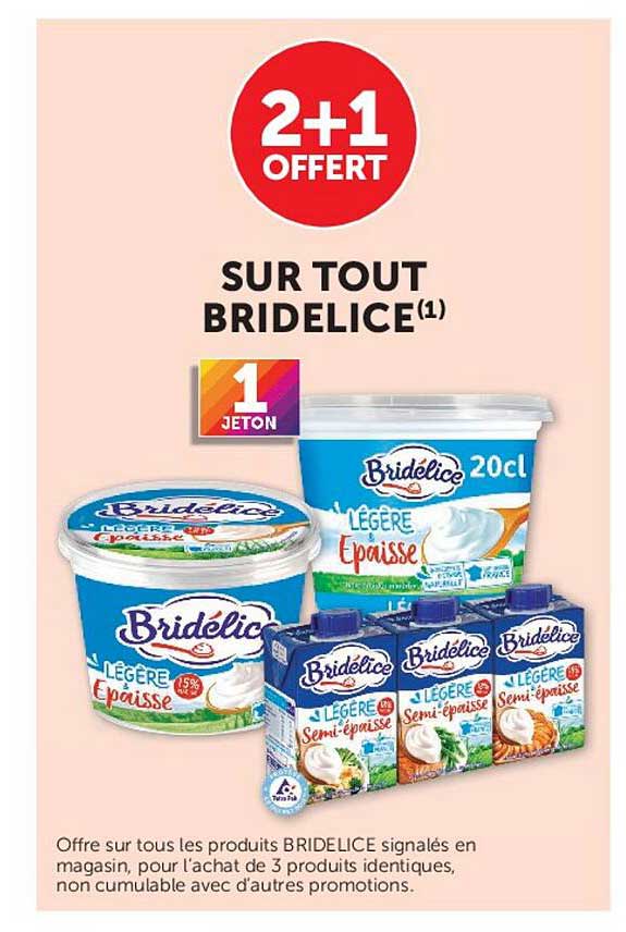 2+1 OFFERT SUR TOUT BRIDELICE(1)