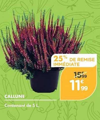 25% DE REMISE IMMÉDIATE
