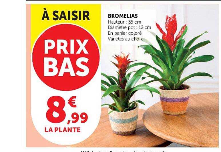 À SAISIR PRIX BAS