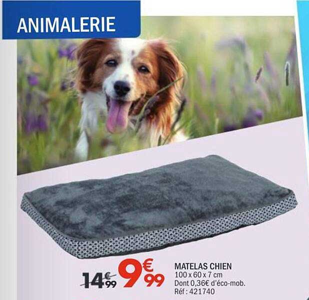 ANIMALERIE