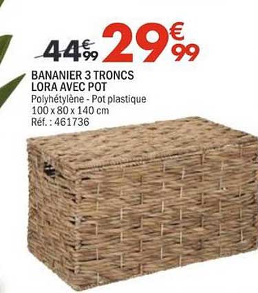 BANANIER 3 TRONCS LORA VEC POT