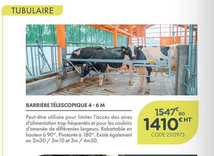 BARRIÈRE TÉLESCOPIQUE 4 - 6 M