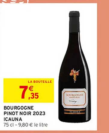 BOURGOGNE PINOT NOIR 2023 ICAUNA