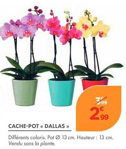 CACHE-POT « DALLAS »