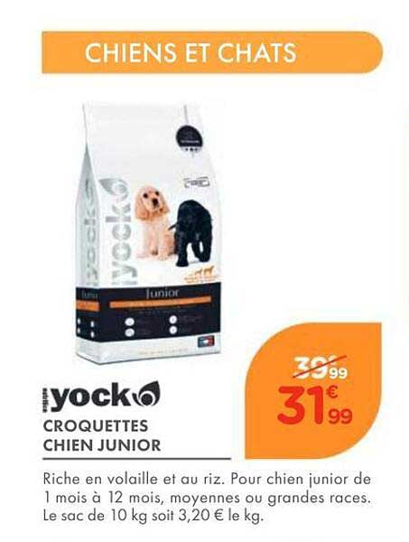 CROQUETTES CHIEN JUNIOR