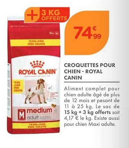CROQUETTES POUR CHIEN - ROYAL CANIN