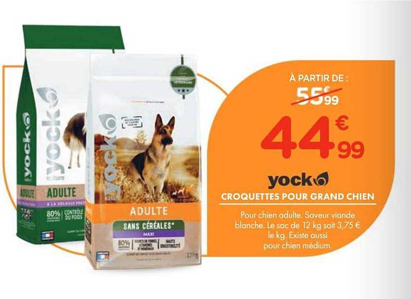 CROQUETTES POUR GRAND CHIEN